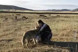 新片上映有一种爱,超越种族,温暖而有力量
