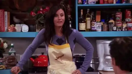 乐高老友记10292莫妮卡和瑞秋的公寓首张预告图片发布