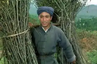 闪闪的红星中英俊的他相貌堂堂却总被遗忘妻子也是好演员
