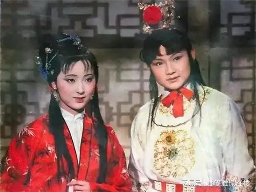 胡玫导演的红楼梦之金玉良缘上映了,我还没有去看
