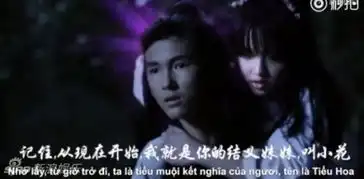 太雷越南翻拍花千骨盘点越南翻拍的电视剧