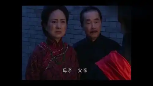 金粉世家柳少爷结婚了,绝望的小怜离开了柳家,少爷知道已晚了

