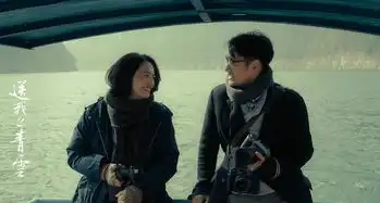 姚晨新片我要上青云,并不是一部女性电影