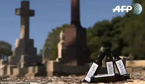 光速打脸,碟中谍6的首映礼再也不是我心中最特别的首映礼了