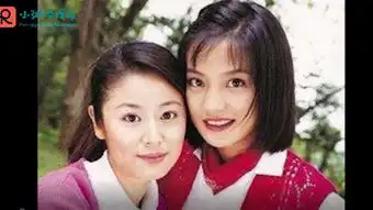 一个明星的诞生
