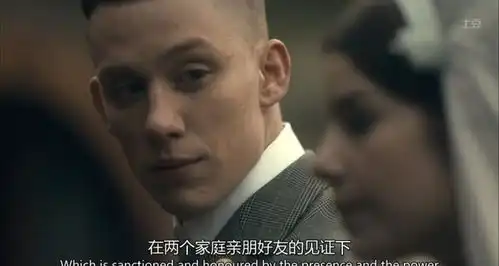 浴血黑帮第一季
