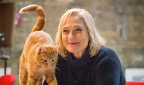 影评︱被一只叫鲍勃的小猫感动