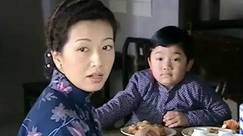 大宅门老太太得传染病,香秀也没了办法,只好把孩子带走