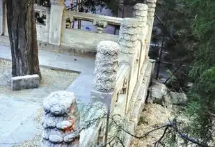 北京青年报电子版
