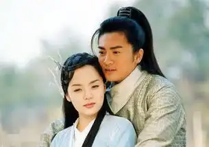 苏有朋这部剧演员阵容收视率完全可以比肩倚天屠龙记