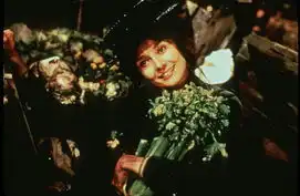 窈窕淑女官方剧照
