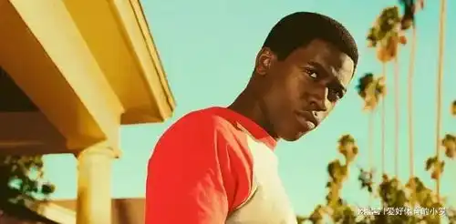 堪称黑人版绝命毒师,冷门美剧的经典作品,连刷4集太过瘾