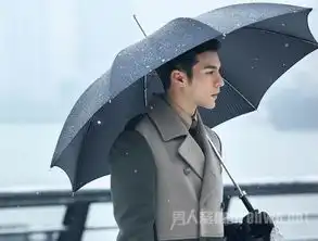 凤小岳为什么不演小时代3传违约无法接演小时代3