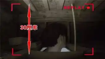 青山周平让43㎡l型蜗居变身立体胡同