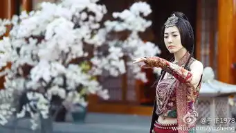 本周节目播出时间及剧情介绍
