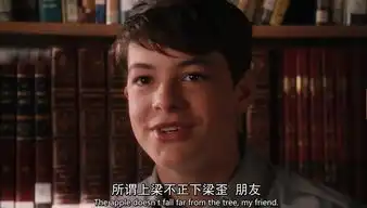 怦然心动从叙事手法的角度,分析作者如何征服了观众
