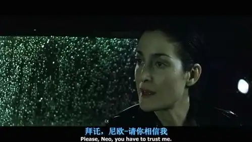 黑客帝国系列之百遍观感iii人类答卷