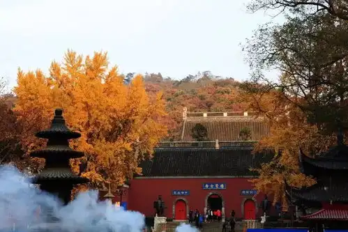 过几天,南京这些景点统统免费
