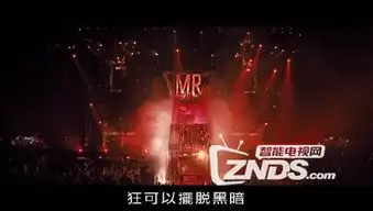 2012中国爱情起势摇滚dvd中字
