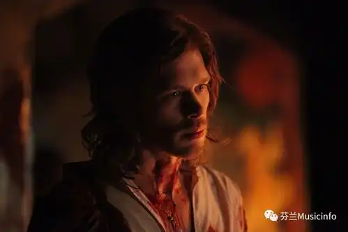 吸血鬼日记有时音乐比人更深情
