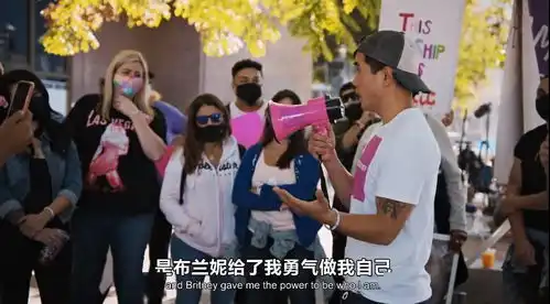 碧梨和布兰妮,一个明星的诞生和一个明星的陨落
