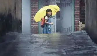 我给你准备好了包括寄生虫在内韩国最好看的电影都在这了
