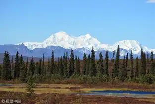 荒野生存美国阿拉斯加
