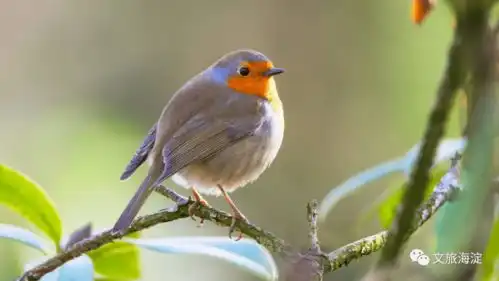 放下偏见,努力寻找到内心正义的天平