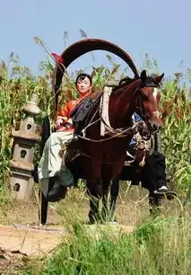 周迅主演新版红高粱野外戏剧照曝光