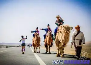 2019中国国际马拉松赛事日历最新最完善时间表,老铁们,快收藏吧