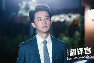 亲爱的翻译官剧照
