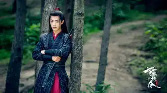 陈情令原著作者墨香铜臭被刑拘晋江文学城发声明辟谣