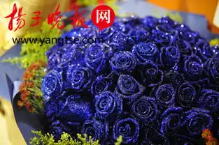 情人节蓝色妖姬卖断货花店现场给花染色
