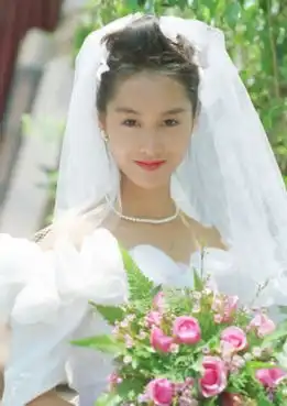 刘亦菲孙俪朱茵董洁当红女星婚纱照谁最美