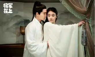 小说将军在上我在下在线阅读将军在上电视剧全集剧情介绍
