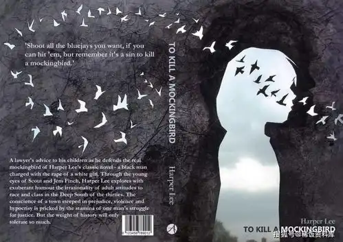 杀死一只知更鸟理性的光辉

