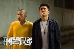 刑警兄弟口碑网友太喜欢烂兄贱弟
