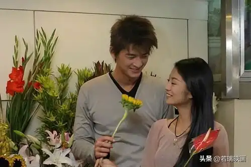 那些年,我们追过的台剧