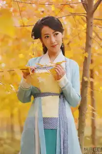 新神雕热播陈紫函曝秋意浓唯美剧照
