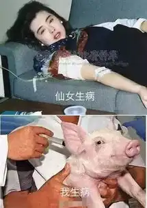 王祖贤输液旧照被赞仙女生病,而范冰冰李冰冰病容也很惊艳