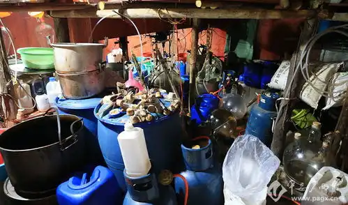 严寒中,民警深山潜伏擒毒师查获冰毒成品200多公斤
