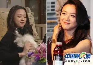 金泰熙宋茜张雨绮宋慧乔刘嘉玲那英图揭娱乐圈撞脸明星