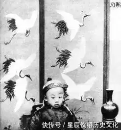 末代皇帝溥仪临死前为何一直喊着河车丸
