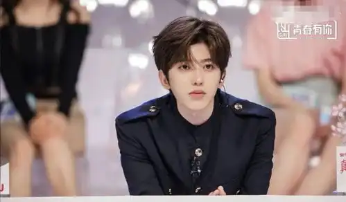 清明节全国哀悼明天部分电视剧排播暂停,停止公共娱乐活动