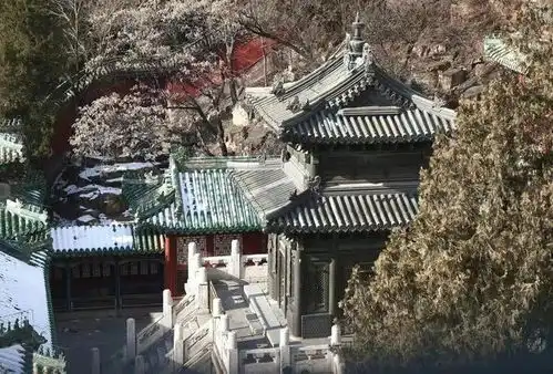 今日,颐和园宝云阁铜窗芯回家啦
