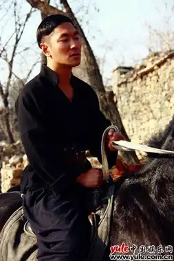 红高粱张一强硬汉有三宝短款深v黑夹袄