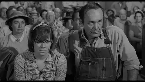 杀死一只知更鸟从这4个人身上,我看到人性的高贵
