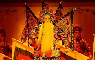 马敬涵进京城首映礼胡玫心中的京剧人
