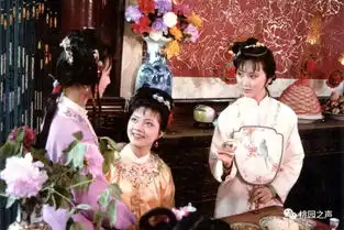 红楼梦节选通河县首届桃园杯诵读大赛之一百三十六
