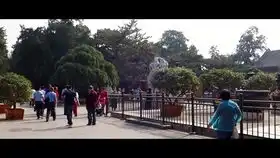 颐和园仁寿殿门口的瑞兽铜麒麟
